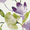 Emelina Berry - Look no further than our Emelina Berry Roller Blind! This made to measure blinds boats a colourful and vibrant floral pattern, with shades of Purple and Green, which will enhance any space! With its dimout feature, it helps create a comfortable and productive environment while still allowing the right amount of natural light to come through. In addition to its aesthetic appeal, this roller blind is also moisture-resistant, ensuring durability and longevity. Order yours today!