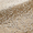 Catkin Praline - 