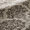 Lorcan Mist - <p>The sophisticated Lorcan Mist Roman Blind, in a soft neutral grey, is a luxurious window treatment featuring a textured velour tree pattern that brings depth and elegance to any space. Its subtle tone-on-tone contrast enhances its timeless appeal, making it a versatile choice for both classic and contemporary interiors. Fully lined as standard, it also offers optional blackout for superior light control or thermal interlining for added insulation. This bespoke roman blind seamlessly blends style, practicality, and a refined finish.</p>

