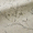 Memento Dusk - <p>The Memento Dusk Roman Blind features a magnolia design printed on subtly textured fabric, bringing depth and elegance to any space. Delicate white and grey floral accents create a timeless window dressing that complements both classic and contemporary interiors. Fully lined as standard, it also offers optional blackout lining for enhanced privacy and light control or thermal interlining for improved insulation. This made-to-measure roman blind seamlessly blends style, sophistication, and practicality, making it a refined addition to any home.</p>
