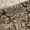 Riva Havana - <p>The custom-made Riva Havana Roman blind features exquisite Baroque embroidery on a smooth satin foundation, creating a luxurious and ornate window dressing. Its rich mocha-brown base, complemented by champagne-gold embroidery, brings sophistication to any space. Ideal for formal living rooms, dining areas, or grand bedrooms, this design enhances classic and opulent interiors. Fully lined as standard, it also offers blackout lining for light control and privacy or thermal interlining to improve insulation and energy efficiency.</p>
