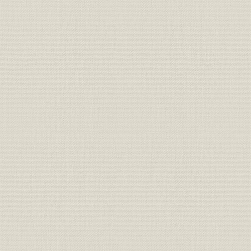 Bella Oyster with Cassette Blackout blinds