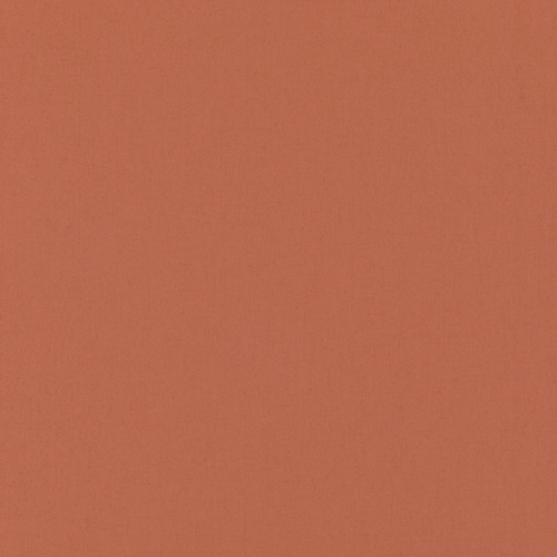 Polaris Rust Blockout with Cassette Blackout blinds