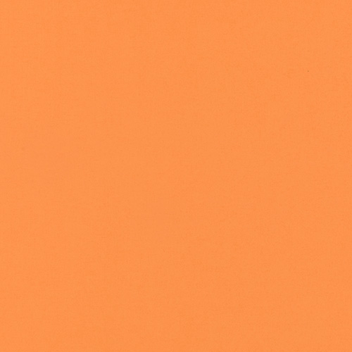 Polaris Tangerine Blockout with Cassette Blackout blinds