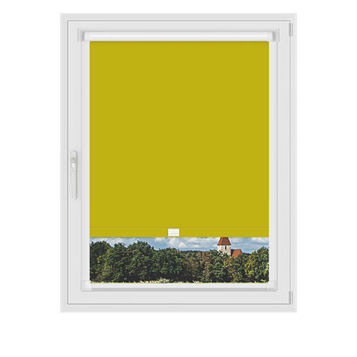 Polaris Chartruese in a Frame Lifestyle Blackout blinds