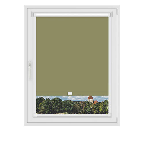 Polaris Moss in a Frame Lifestyle Blackout blinds