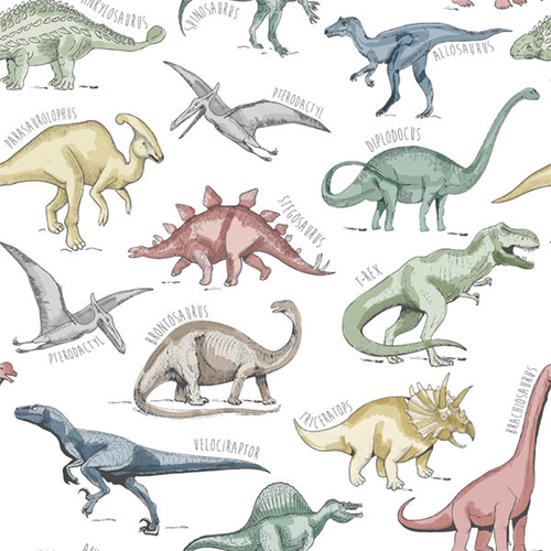 Dinosaurs Prehistoric Childrens Blinds