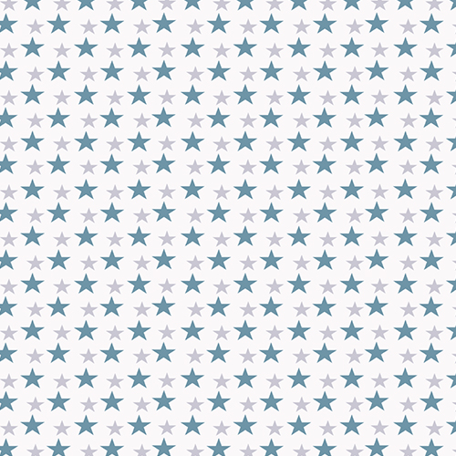 Washington Blue Childrens Blinds