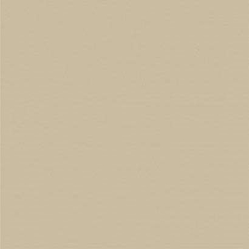 Carnival Ecru Dimout INTU Roller Blinds