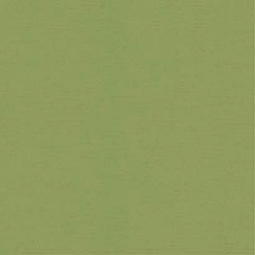 Carnival Kiwi Dimout INTU Roller Blinds