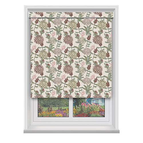 Dahlia Blush with Cassette Lifestyle New Blinds