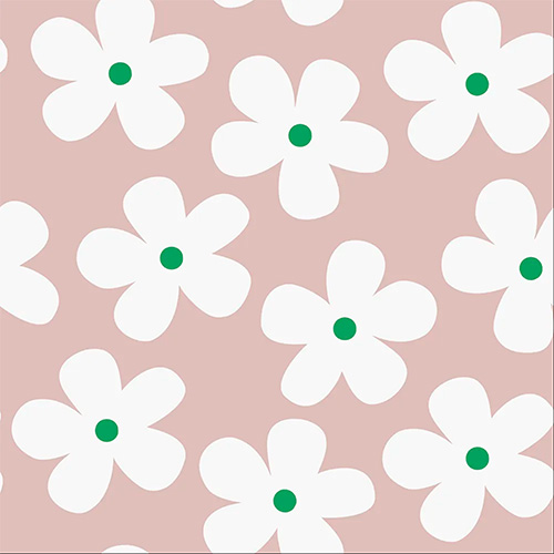 Daisy Pink with Cassette New Blinds