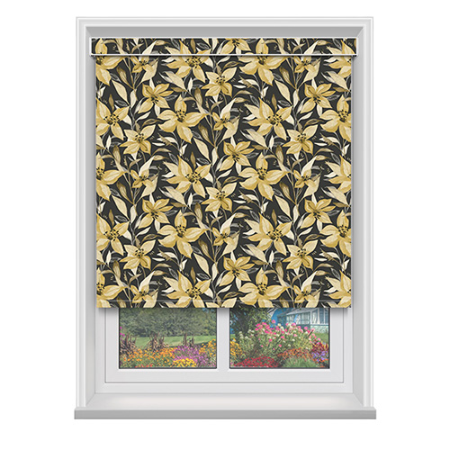 Stargazer Blackout Ochre with Cassette Lifestyle New Blinds