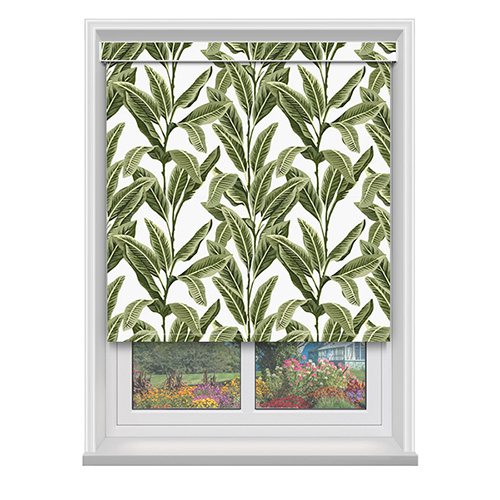 Tropical Palm Aloha with Cassette Lifestyle New Blinds