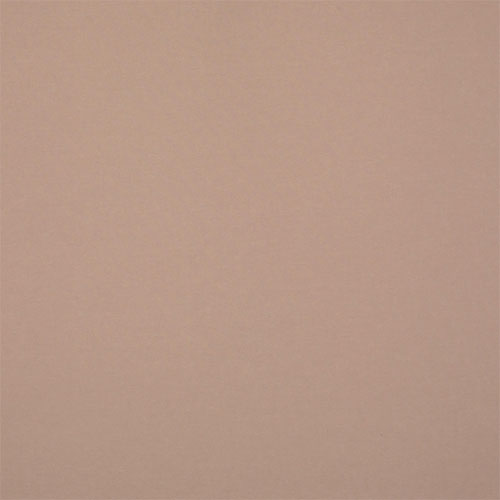 Electric Polaris Bisque Blockout New Blinds