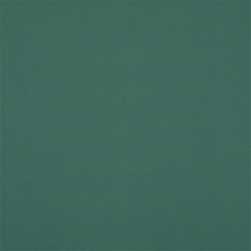 Electric Polaris Grass Blockout New Blinds