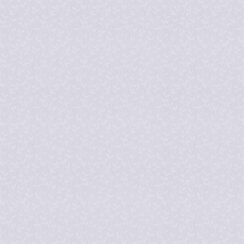 Willow Snow New Blinds