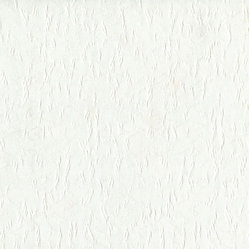 Cleo White New Blinds