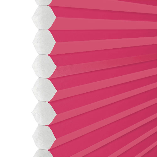 Apollo Lipstick (BO) Honeycomb Clic Fit Lifestyle New Blinds