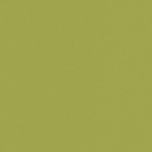 Atlantic Lime New Blinds