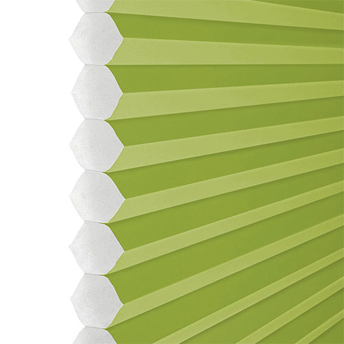 Apollo Grass (BO) Honeycomb Clic Fit Lifestyle No Drill Blinds