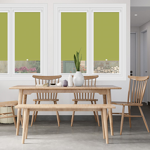Bella Vine Blockout No Drill Lifestyle Perfect Fit Roller Blinds
