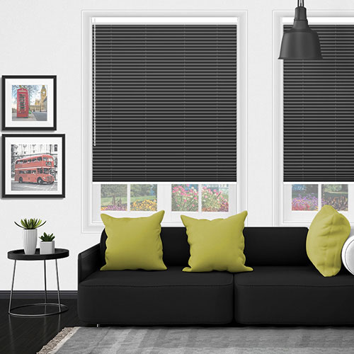 Lexington Onyx Blockout V05 Lifestyle Pleated blinds