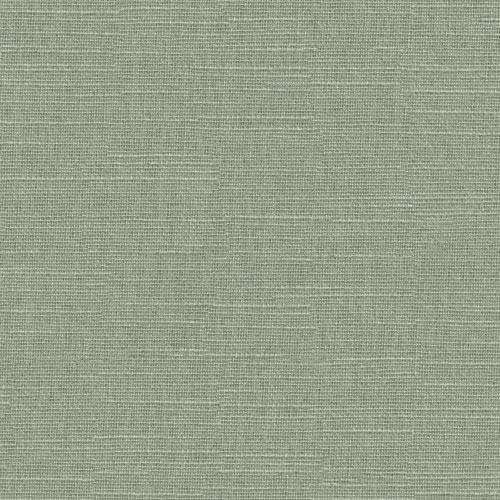 Hayden Fern Roller blinds