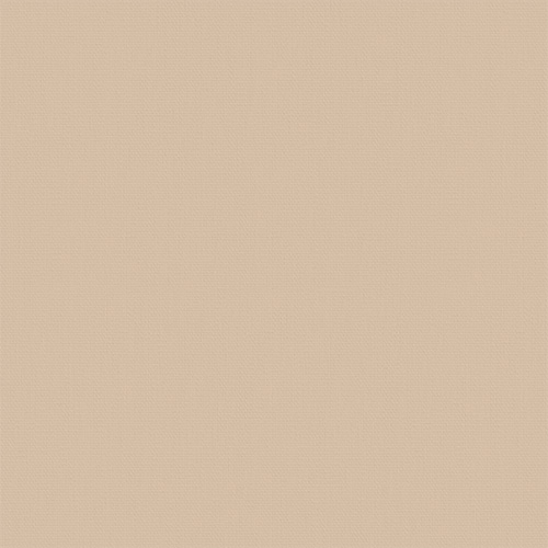 Splash Cashew Dimout Roller blinds