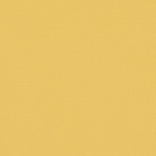 Splash Shine Dimout Roller blinds