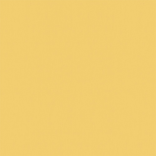 Arona Ray Roller blinds