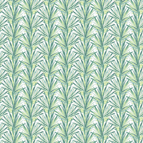 Tropic Lima Roller blinds