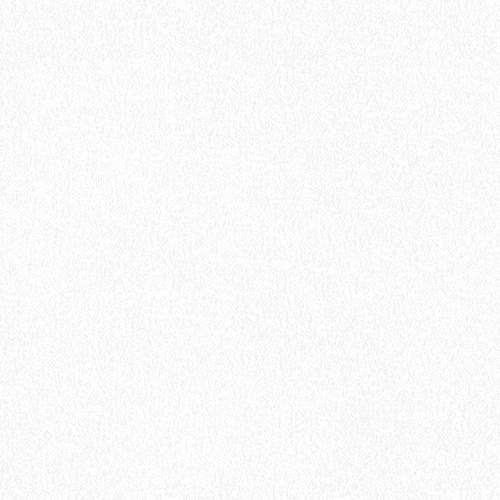 Glimpse Snow Roller blinds