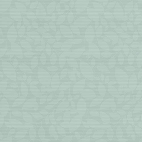Isla Aloe Roller blinds