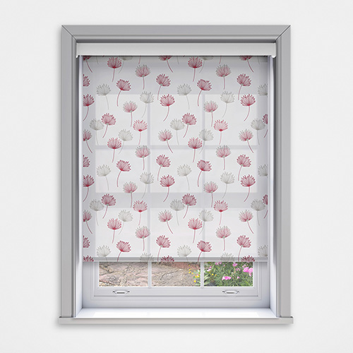 Calista Lust Dimout with Cassette Lifestyle Roller blinds