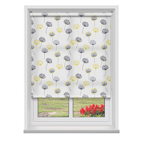 Premier Calista Citrus Lifestyle Roller blinds