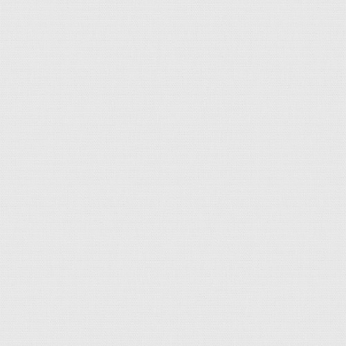 Premier Arona Stark Roller blinds