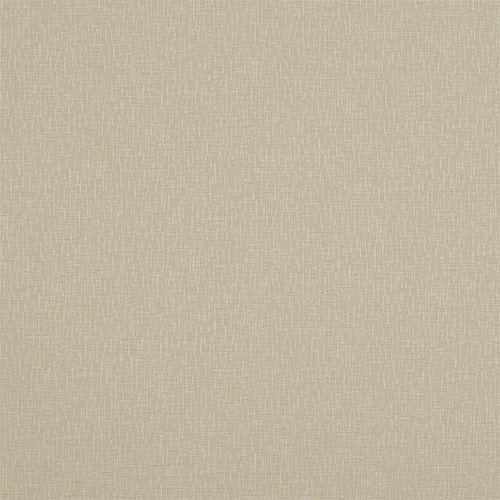 Monte Almond with Cassette Roller blinds