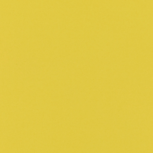 Polaris Chartreuse Dimout Roller blinds