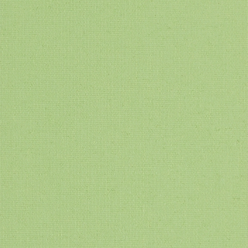 Polaris Green Dimout Roller blinds