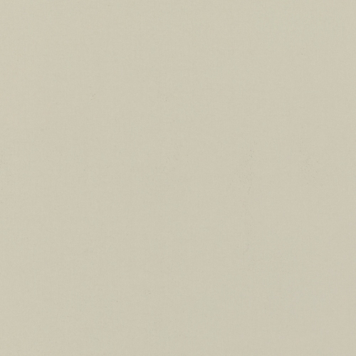 Polaris Oyster Dimout Roller blinds