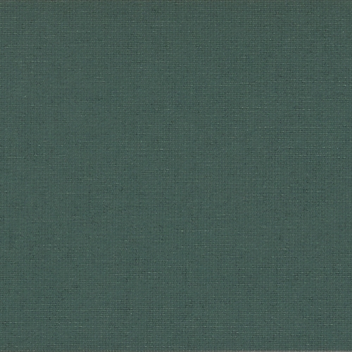 Polaris Pine Dimout Roller blinds