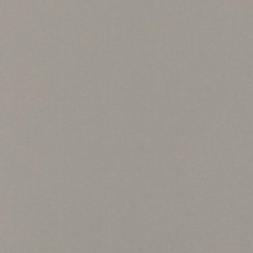 Polaris Taupe Dimout Roller blinds