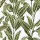 Click Here to Order Free Sample of Tropical Palm Aloha with Cassette New Blinds