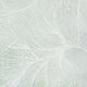 Click Here to Order Free Sample of 6496 Said Sheer New Blinds