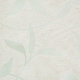 Click Here to Order Free Sample of 6500 Kundera Delight New Blinds