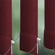 Click Here to Order Free Sample of 2583 Kiran New Blinds