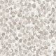 Click Here to Order Free Sample of Lissa Sand Blockout New Blinds