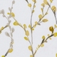 Click Here to Order Free Sample of Willow Brazen Yellow Roller blinds