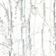 Sample of Swedish Birch Silver Roller blinds  Out Of Stock